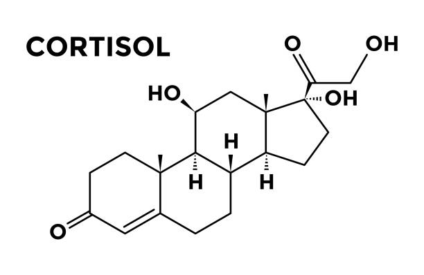 Kortizols
